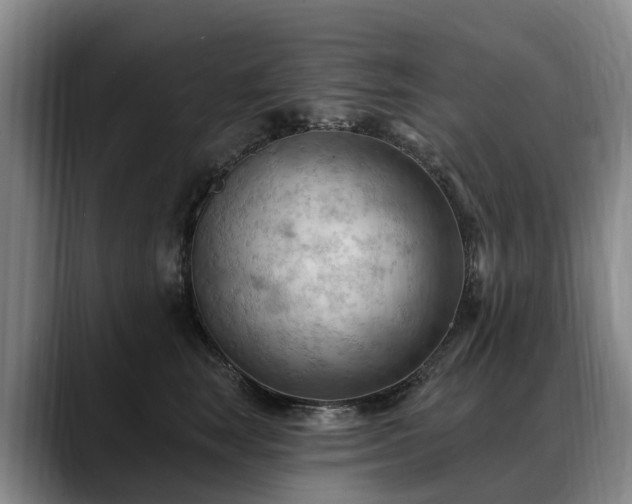 X0000088490663200705291649