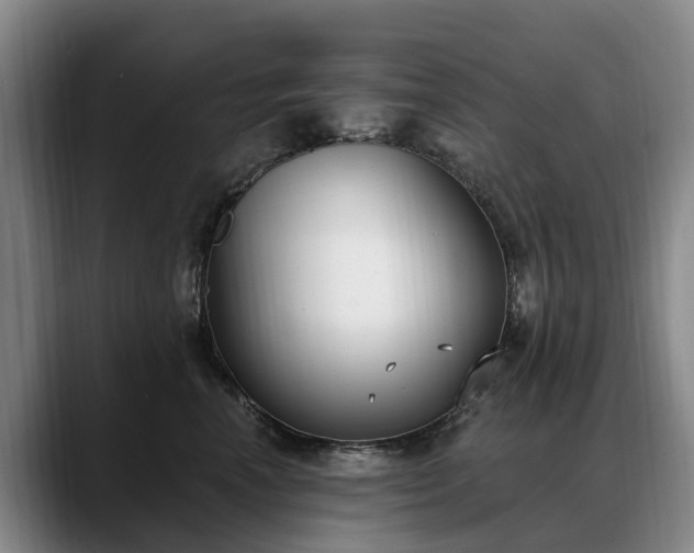 X0000088490666200705291649