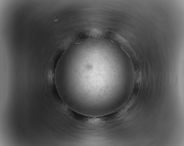 X0000088490669200705291649