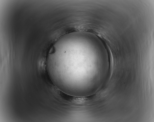 X0000088490671200705291649