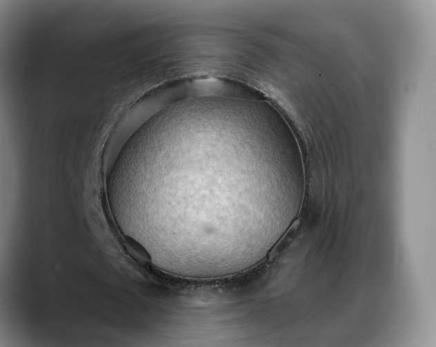 X0000088490673200705291648