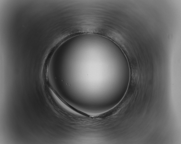 X0000088490674200705291648