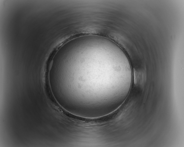 X0000088490675200705291648