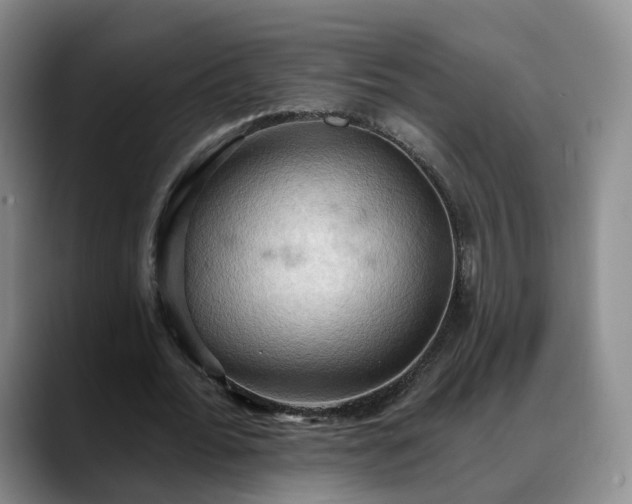 X0000088490676200705291648