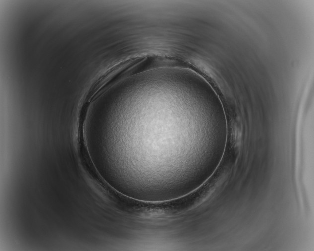 X0000088490677200705291648