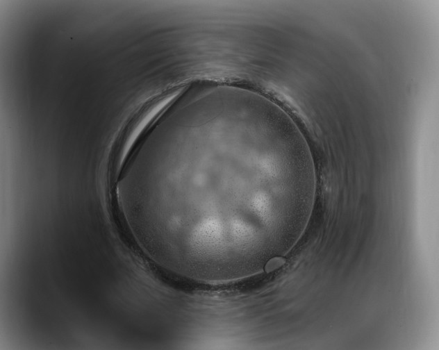 X0000088490679200705291648