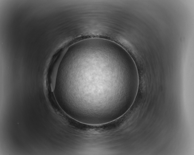 X0000088490680200705291648
