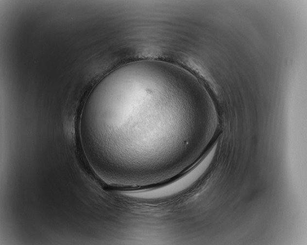 X0000088490681200705291648