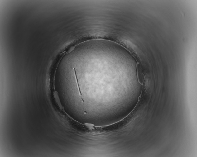 X0000088490684200705291648