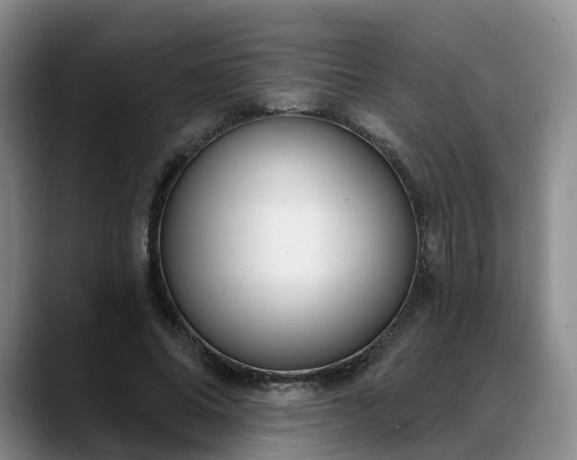 X0000088490686200705291648