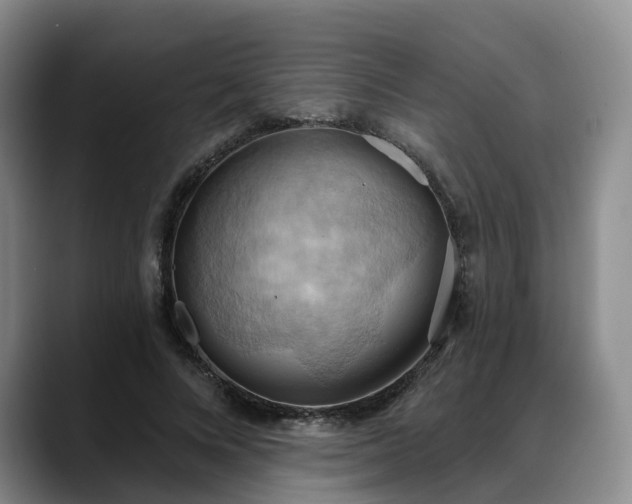 X0000088490688200705291648