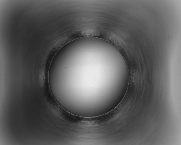 X0000088490690200705291648