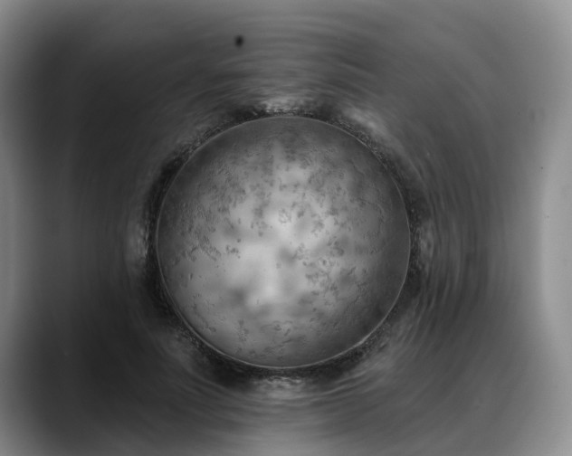 X0000088490691200705291648