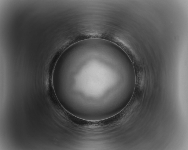 X0000088490692200705291648