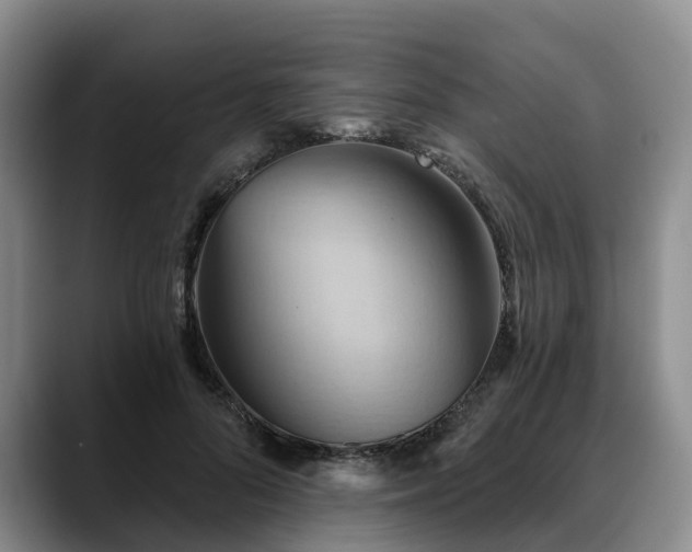 X0000088490696200705291648