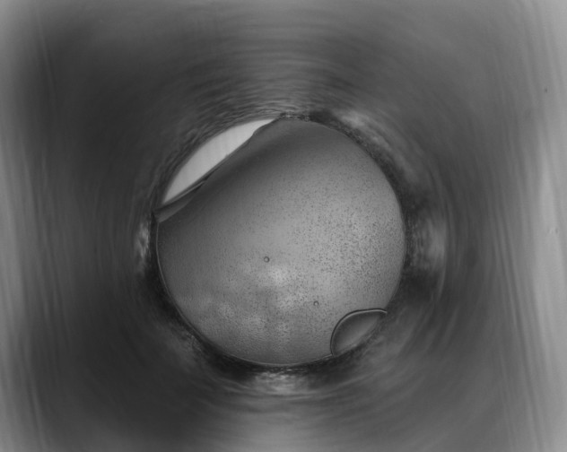 X0000088490699200705291648