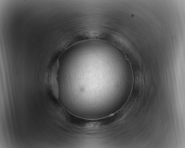X0000088490700200705291648