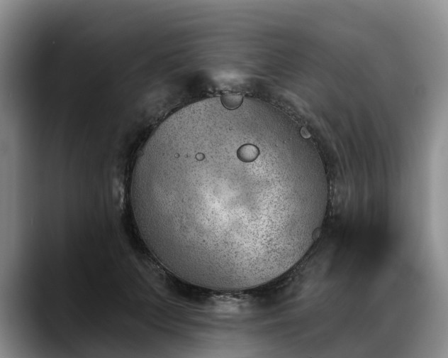 X0000088490703200705291648