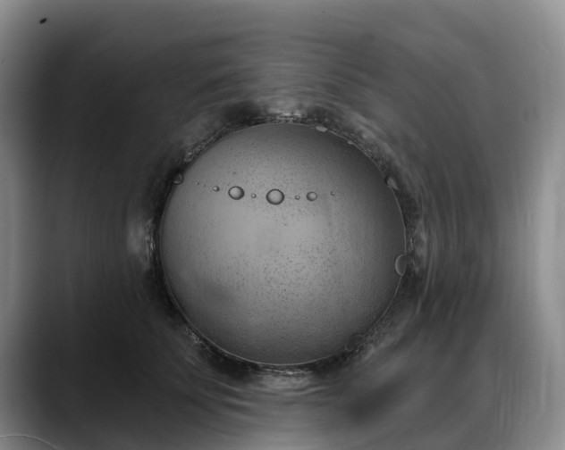X0000088490707200705291648