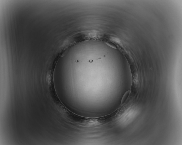 X0000088490715200705291648