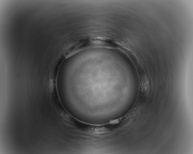 X0000088490716200705291648