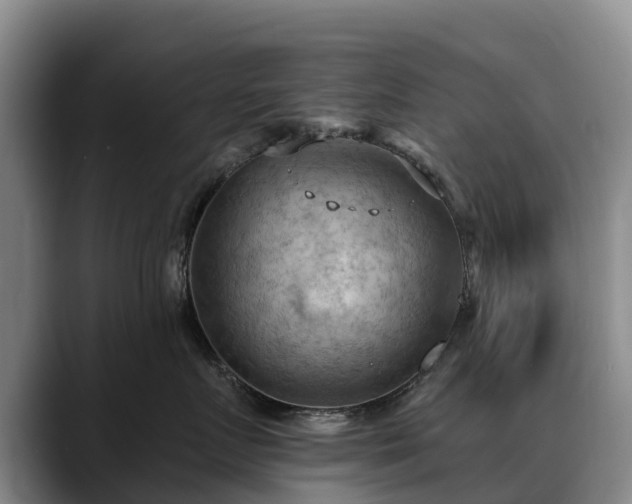X0000088490719200705291648