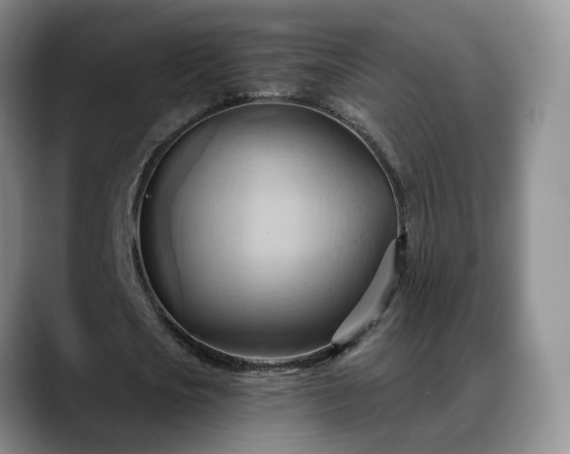 X0000088490721200705291647