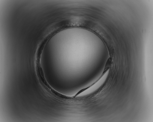 X0000088490722200705291647