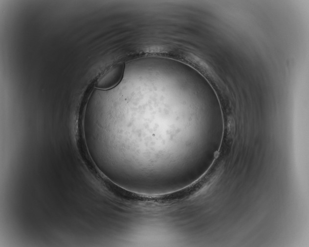 X0000088490725200705291647