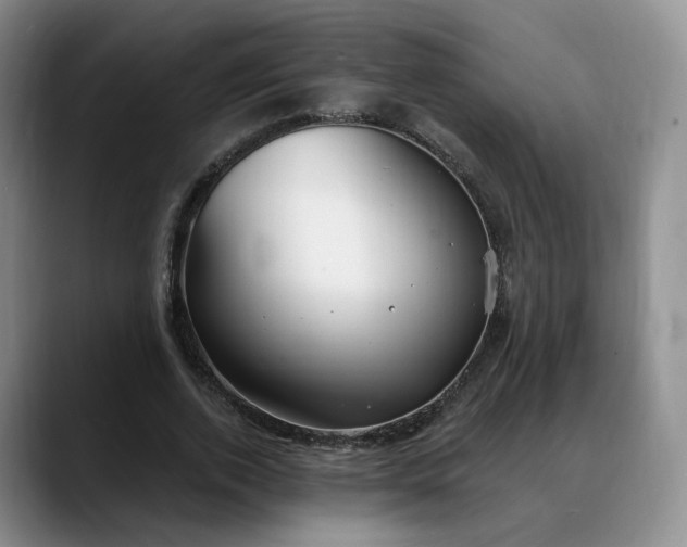 X0000088490728200705291647