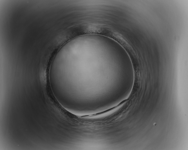 X0000088490729200705291647