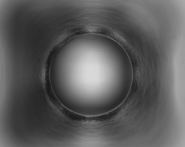 X0000088490730200705291647
