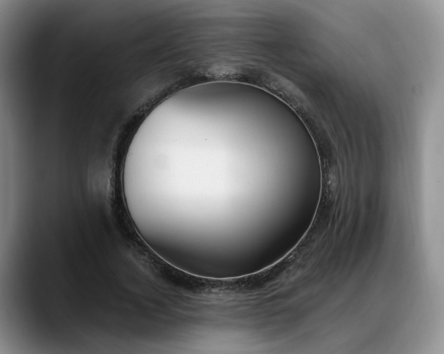 X0000088490732200705291647
