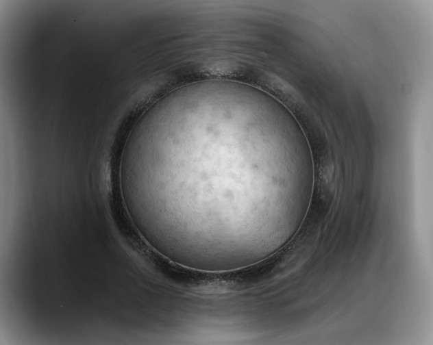 X0000088490734200705291647