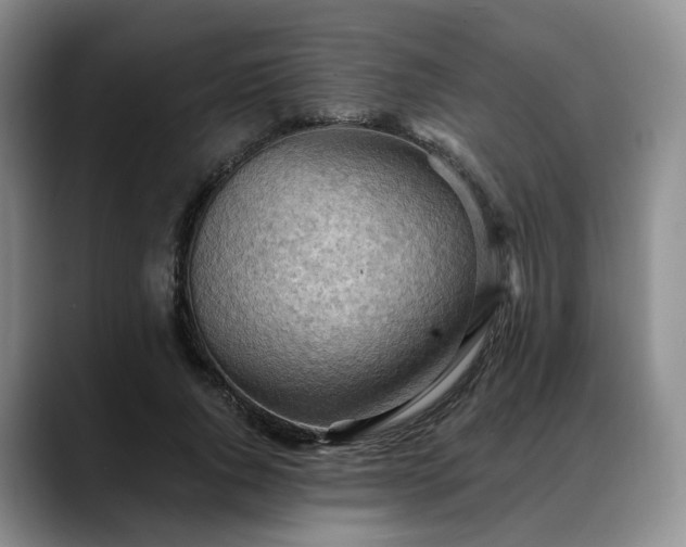 X0000088490736200705291647