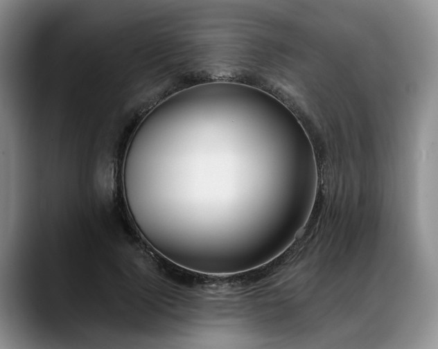 X0000088490740200705291647