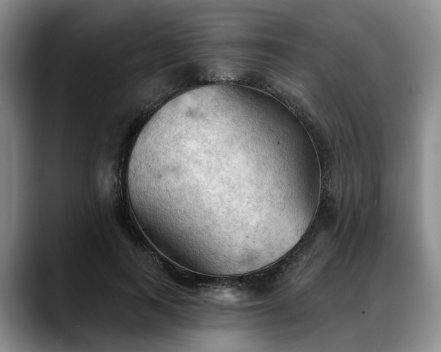 X0000088490743200705291647