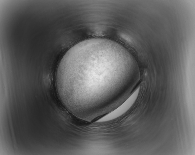X0000088490747200705291647