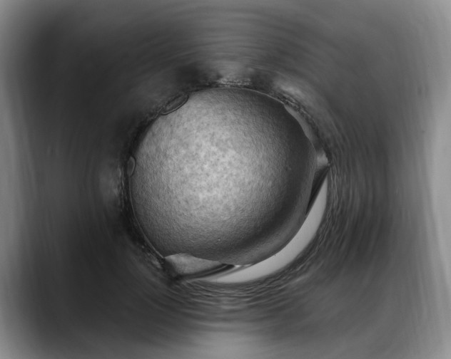 X0000088490748200705291647