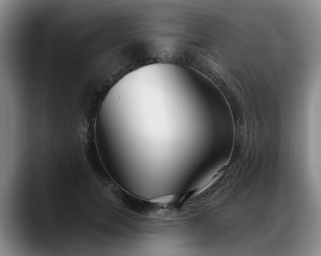 X0000088490750200705291647