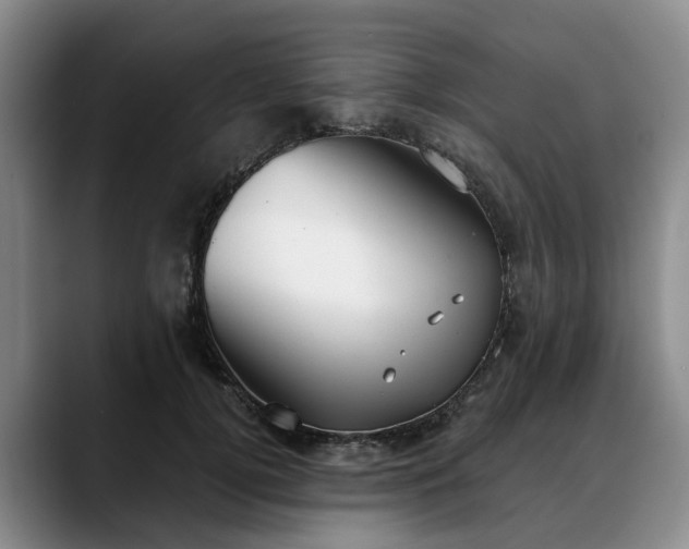 X0000088490752200705291647