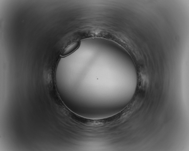 X0000088490754200705291647