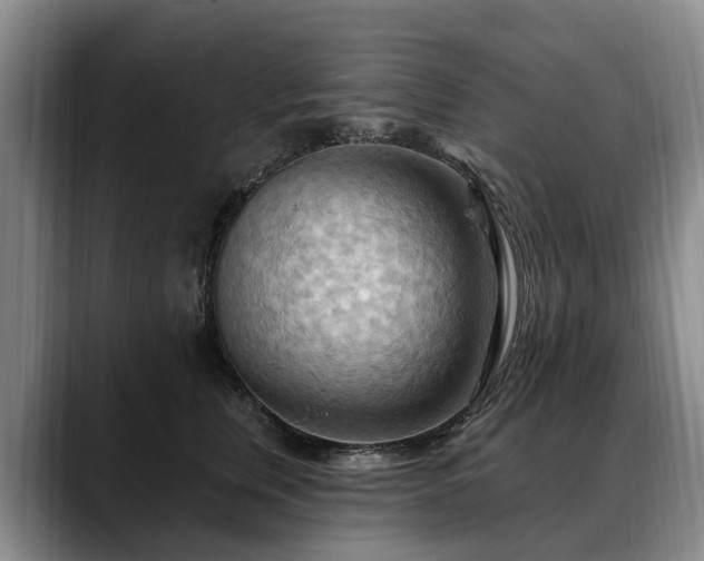 X0000088490759200705291647