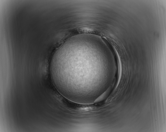 X0000088490760200705291647