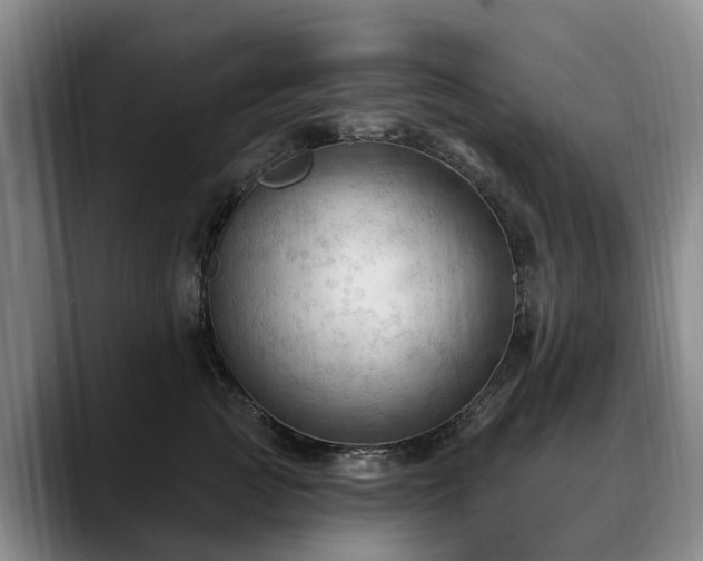 X0000088490761200705291647