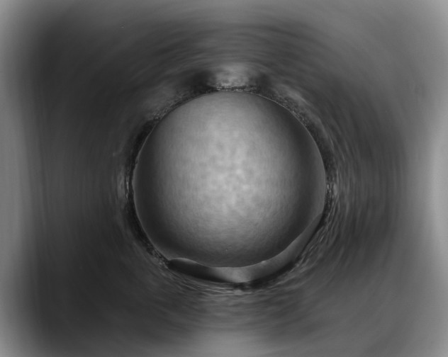 X0000088490763200705291647