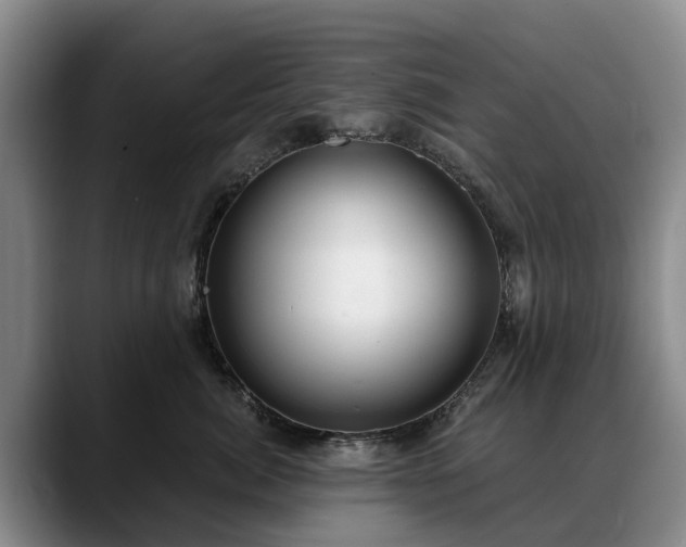 X0000088490764200705291647