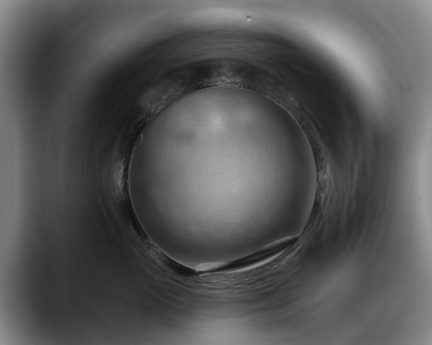 X0000088490765200705291647