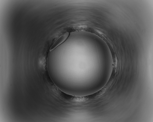 X0000088490767200705291647