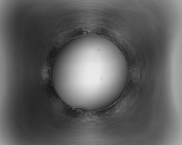 X0000088490770200705291647